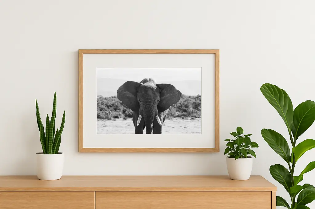 mock-up IMG_9361.webp