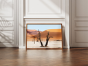 deadvlei arbre.webp