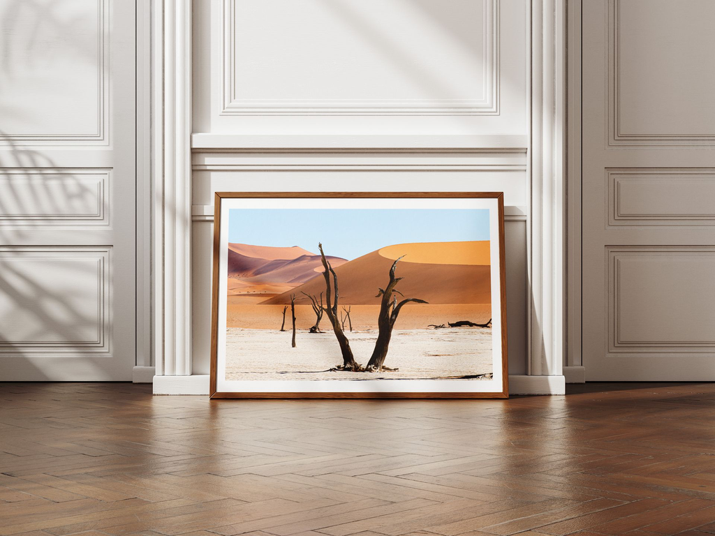 deadvlei arbre marge.webp