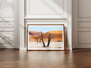 deadvlei arbre marge.webp
