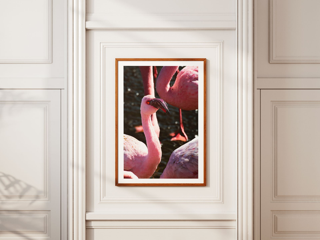 la vie en rose 2 + marges.webp