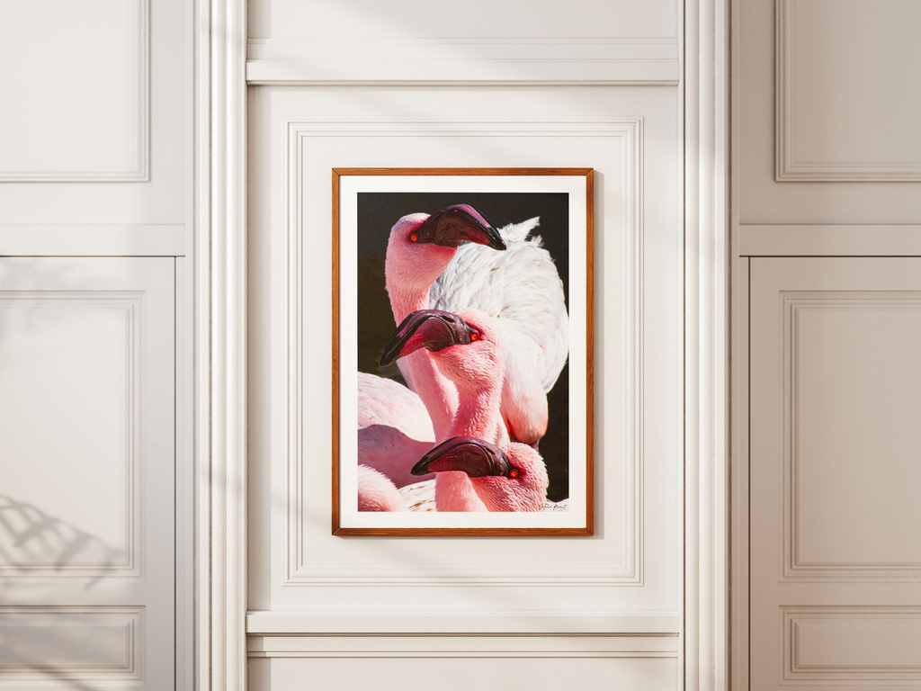 la vie en rose 3 + marges.webp
