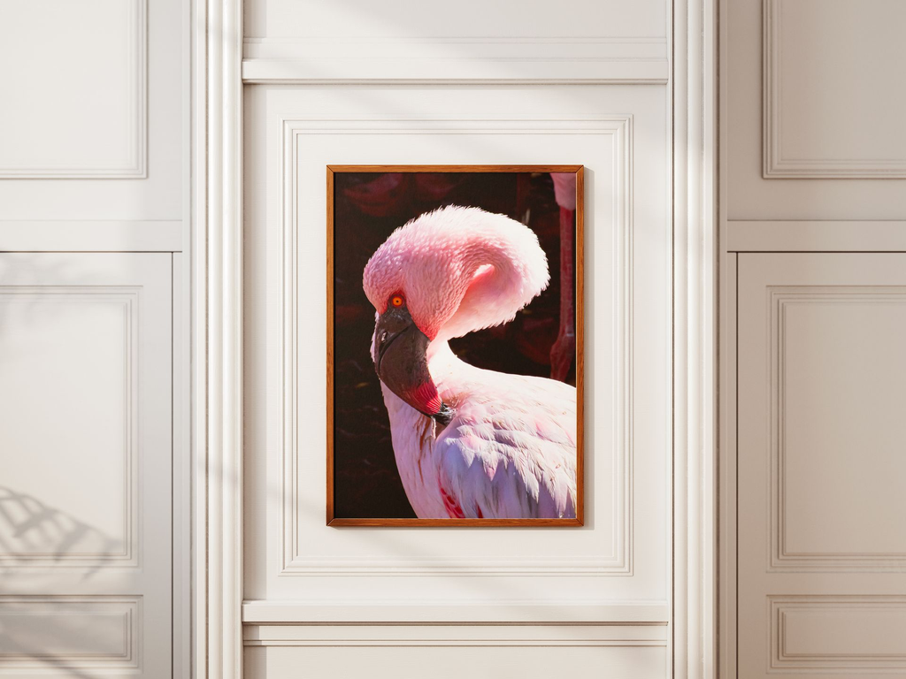 la vie en rose 1.webp