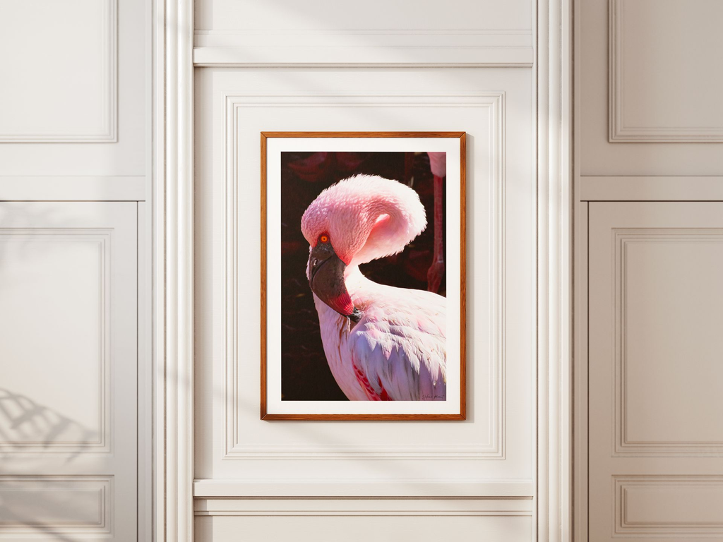 la vie en rose 1 + marges.webp