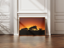 safari sunrise.webp