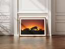 safari sunrise + marges.webp