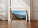 lions head + marges.webp