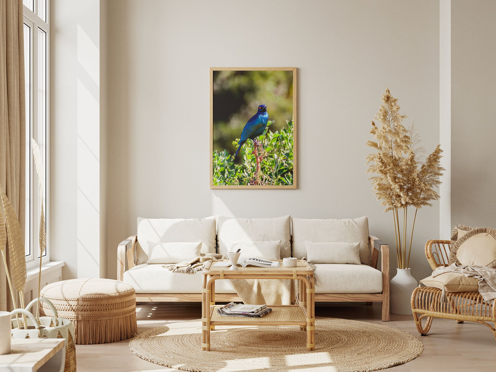 plumage bleu.webp