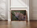 regard percant.webp