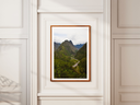piton cabris + marges.webp