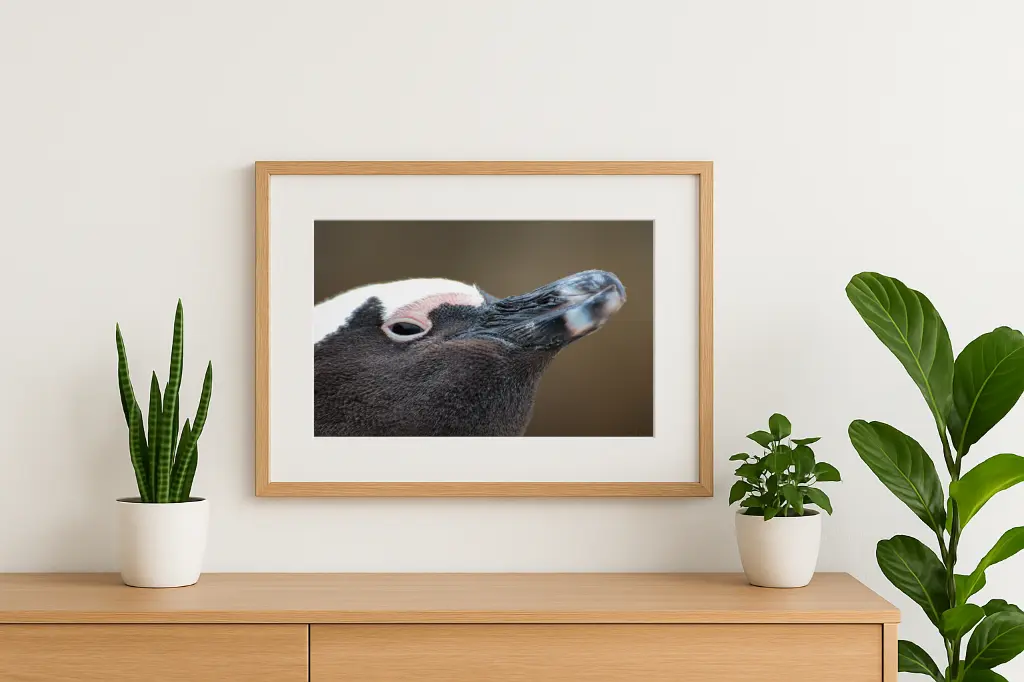 mock-up IMG_8878.webp