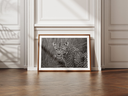 regard percant nb + marges.webp