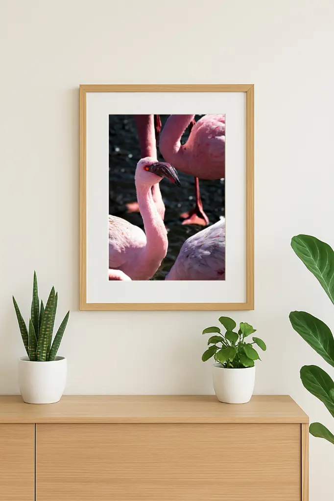 mock-up IMG_3084.webp