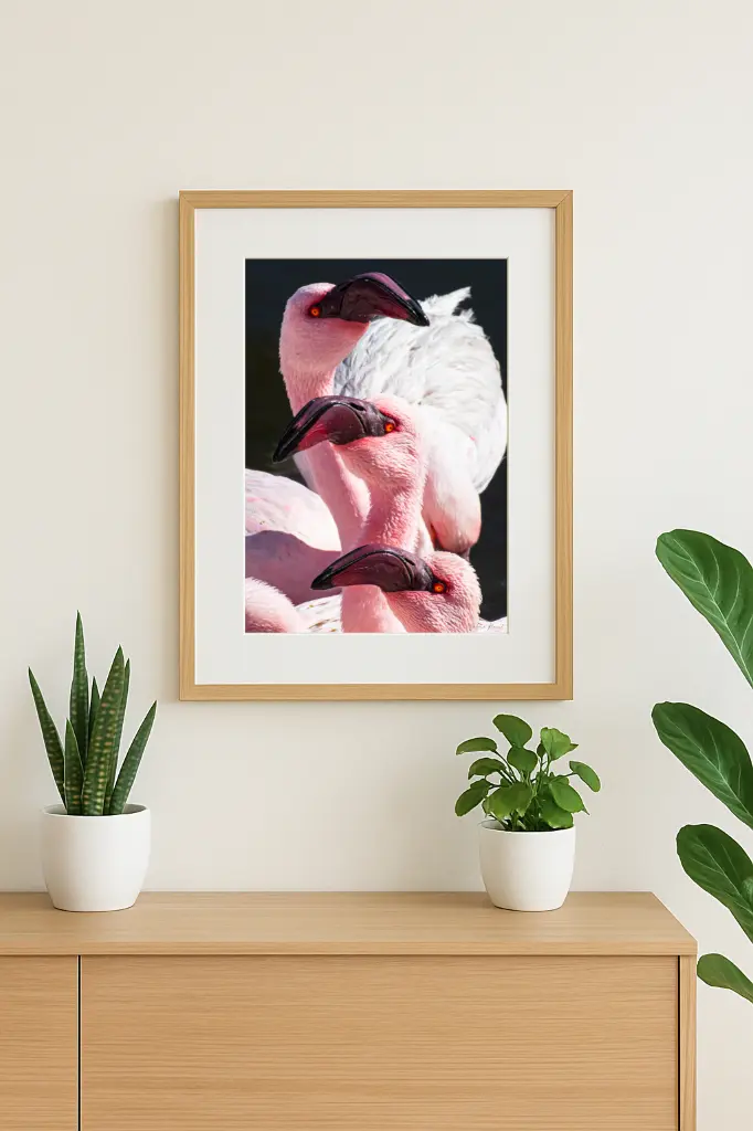 mock-up IMG_3072.webp