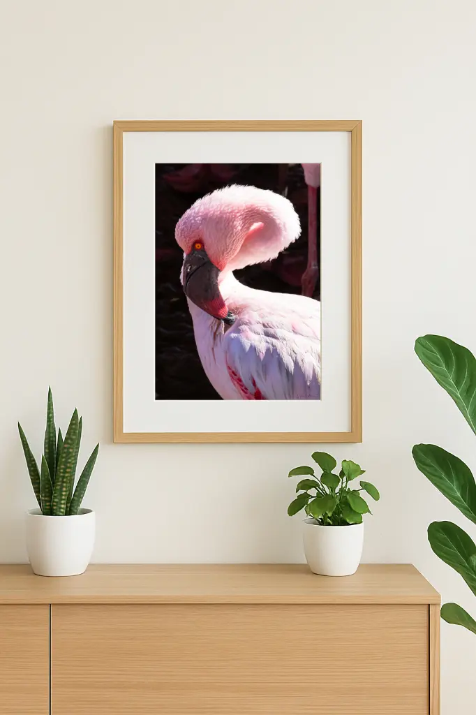 mock-up IMG_3079.webp