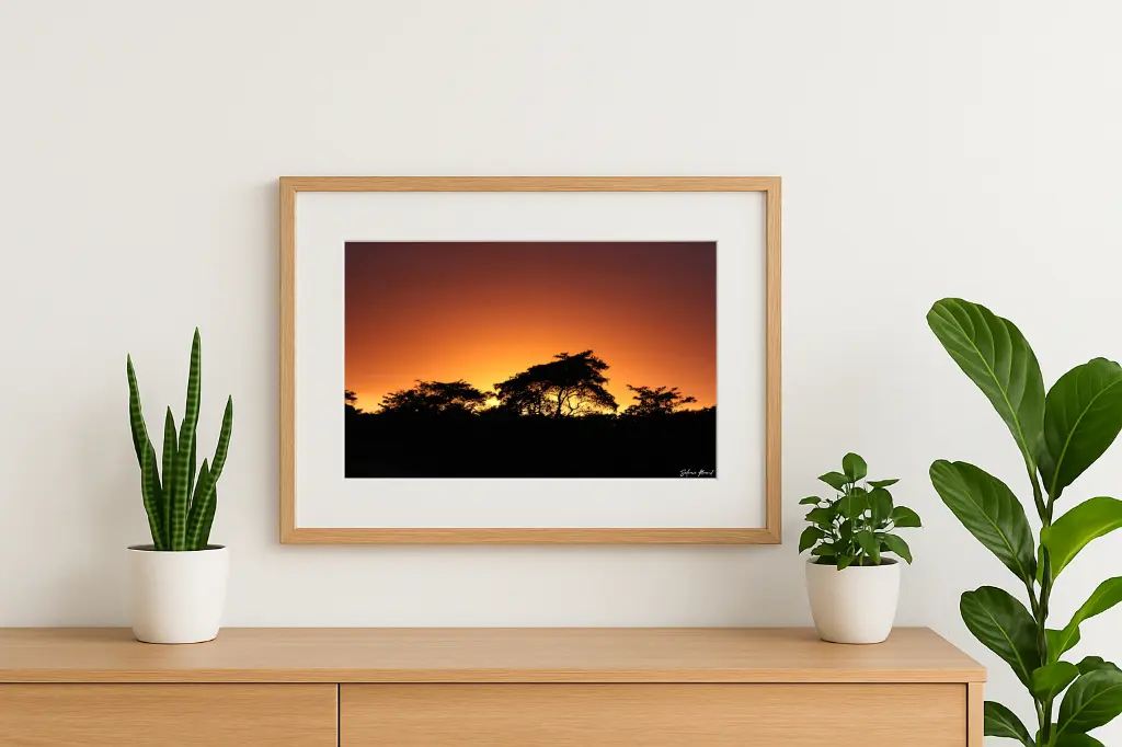 mock-up IMG_0546.webp