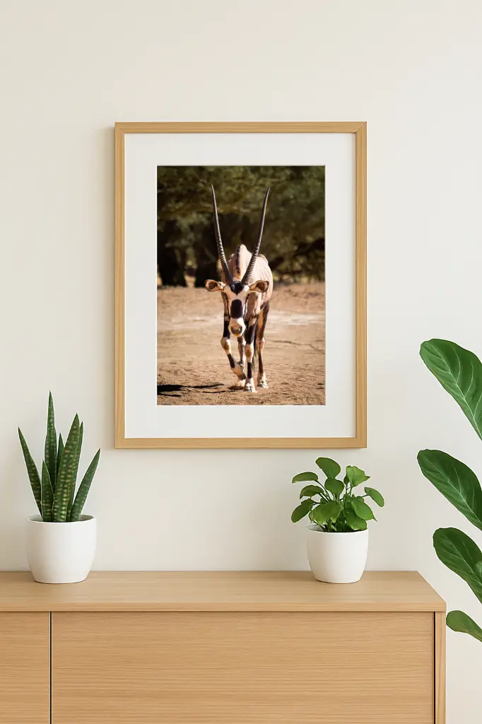 mock-up IMG_2599.webp