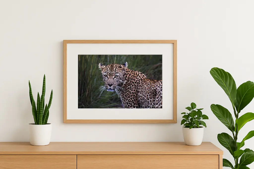 mock-up IMG_0627.webp