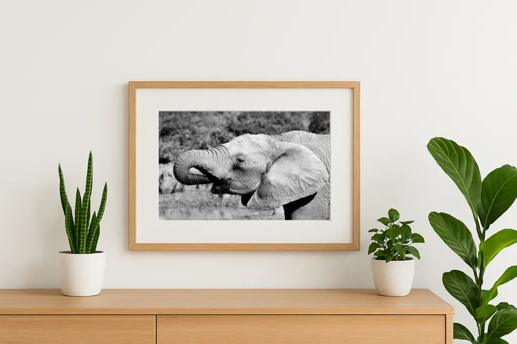 mock-up IMG_9491 N&B.webp