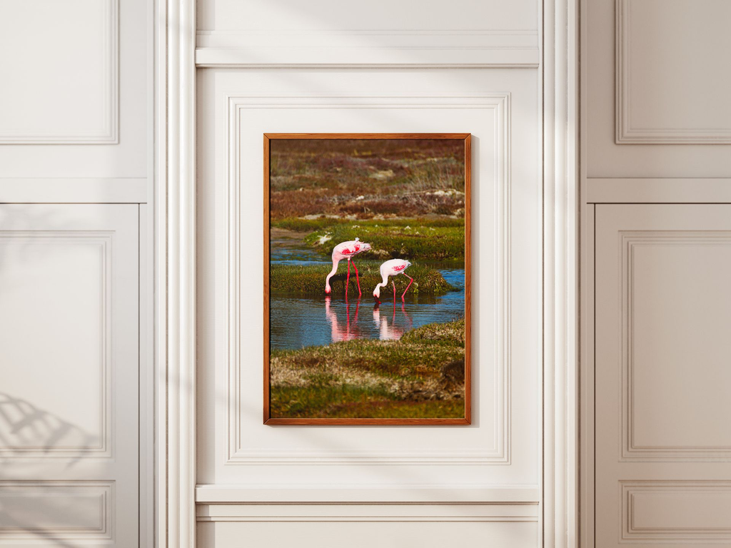 ballet des marais.webp