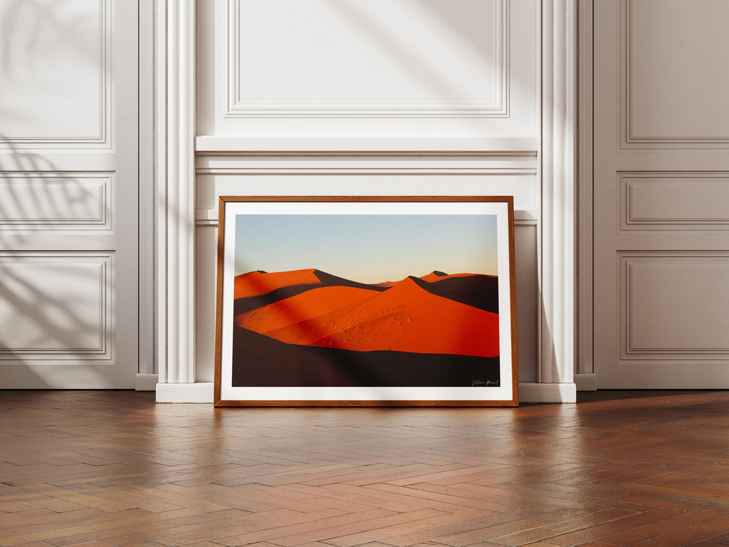 dune 45 + marges.webp