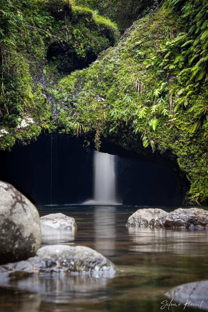 Arche du paradis