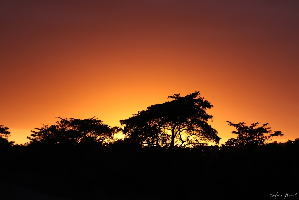 Safari Sunrise (Papier d'art, 30x40cm, Avec marges)
