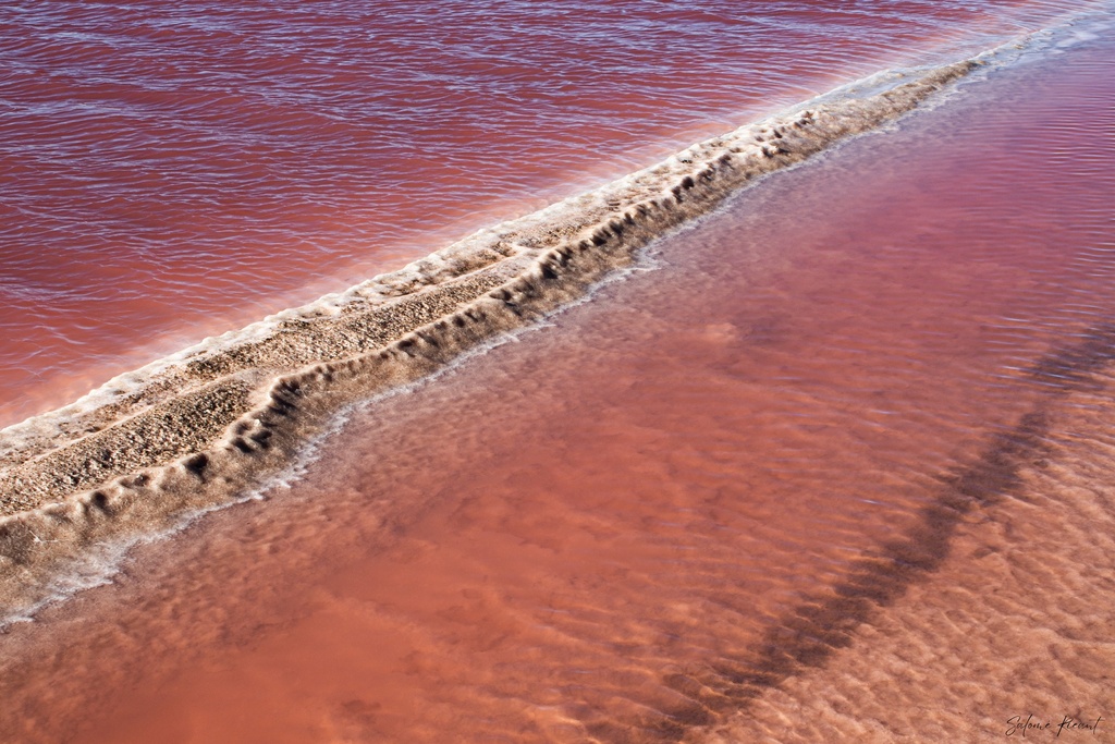 Lac rose (Papier d'art, 30x40cm, Avec marges)
