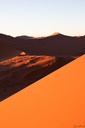 Dunes ambrées