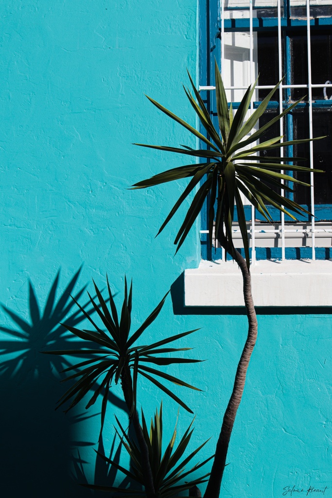 Bo-Kaap (20x30cm, Avec marges)