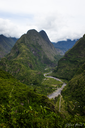 Piton cabri