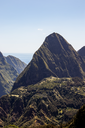 Piton cabris